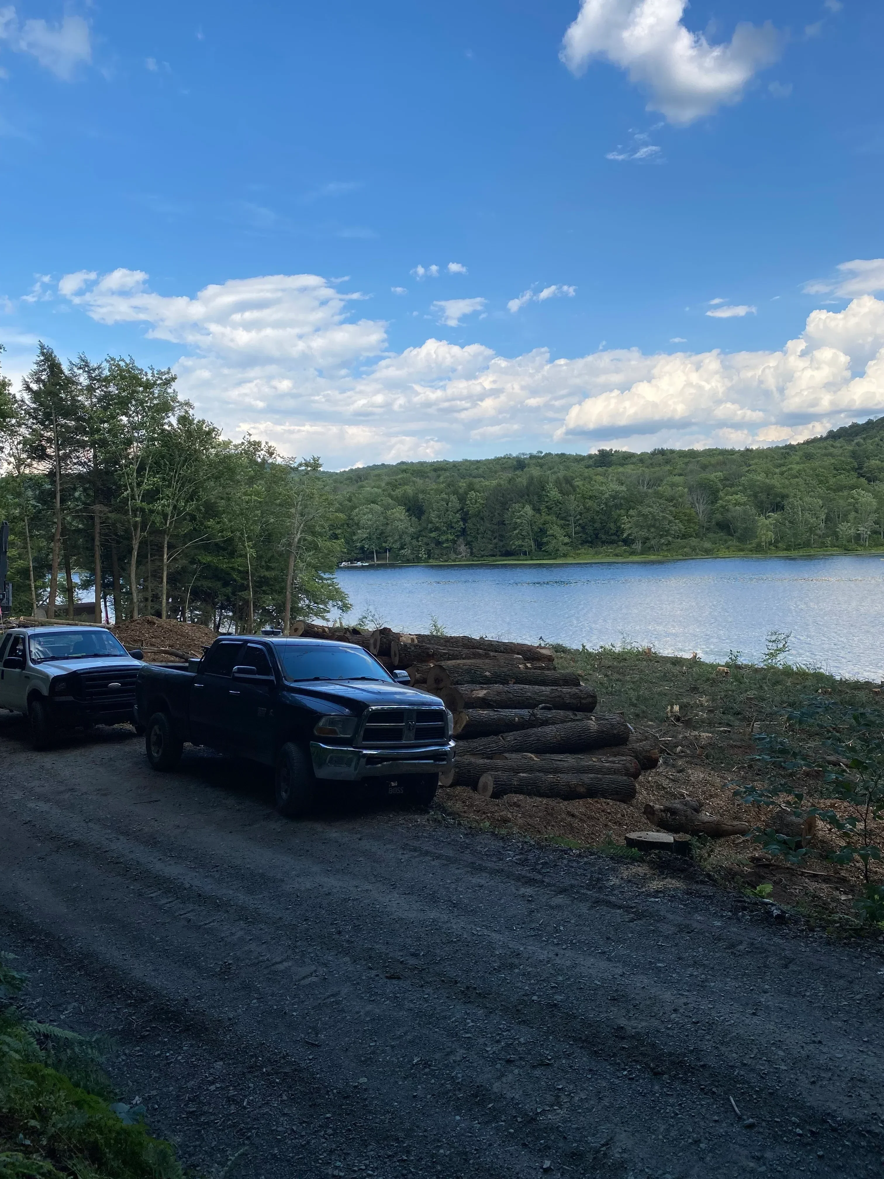 Gravel access road with cleared vegetation along waterfront property and timber pilings