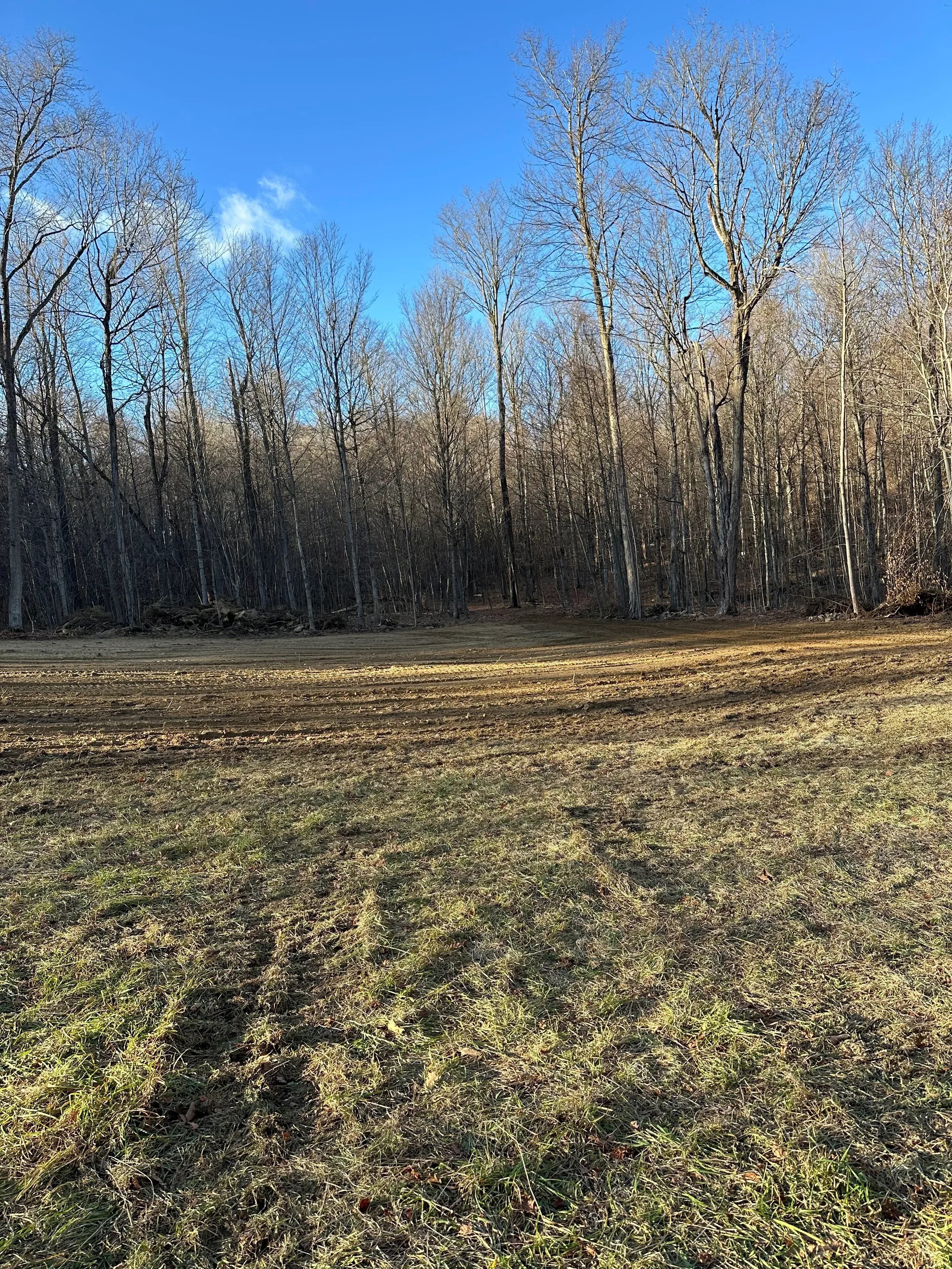 Cleared forest land with felled timber logs and access road through harvested area