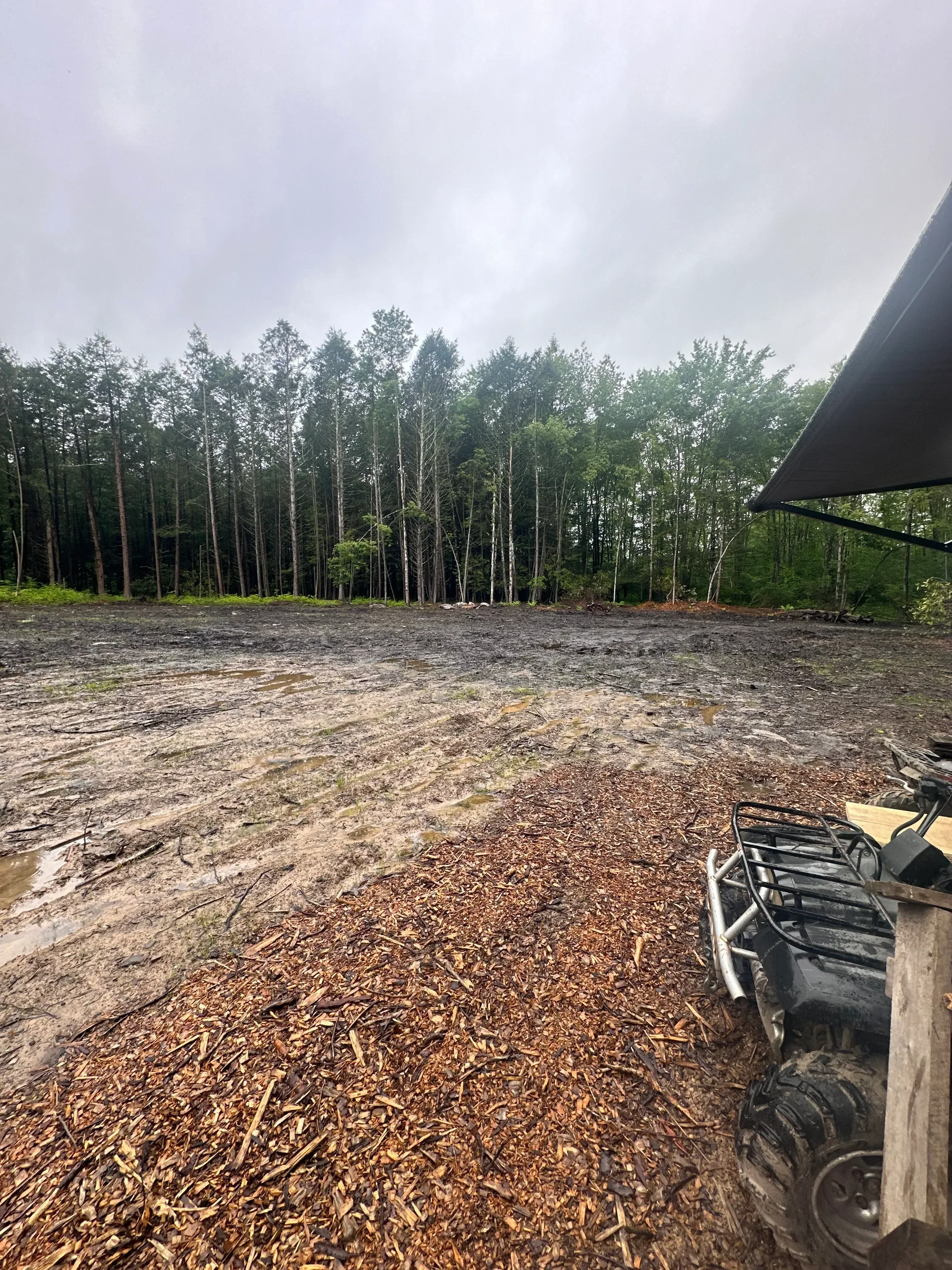 Timber harvest site with wood chips, felled logs, and remaining forest trees