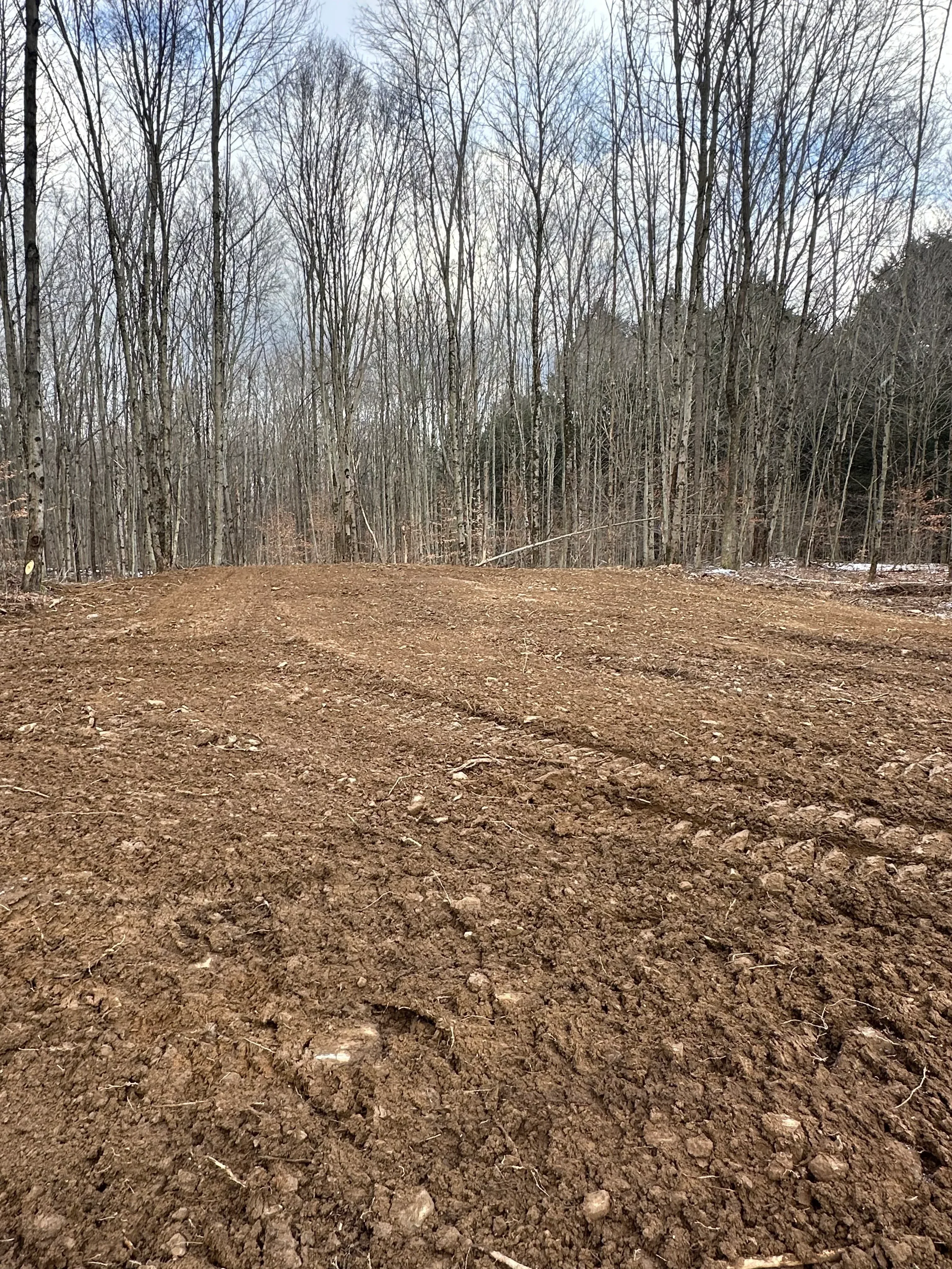 Cleared lot with graded dirt surface and bare ground, trees visible in background