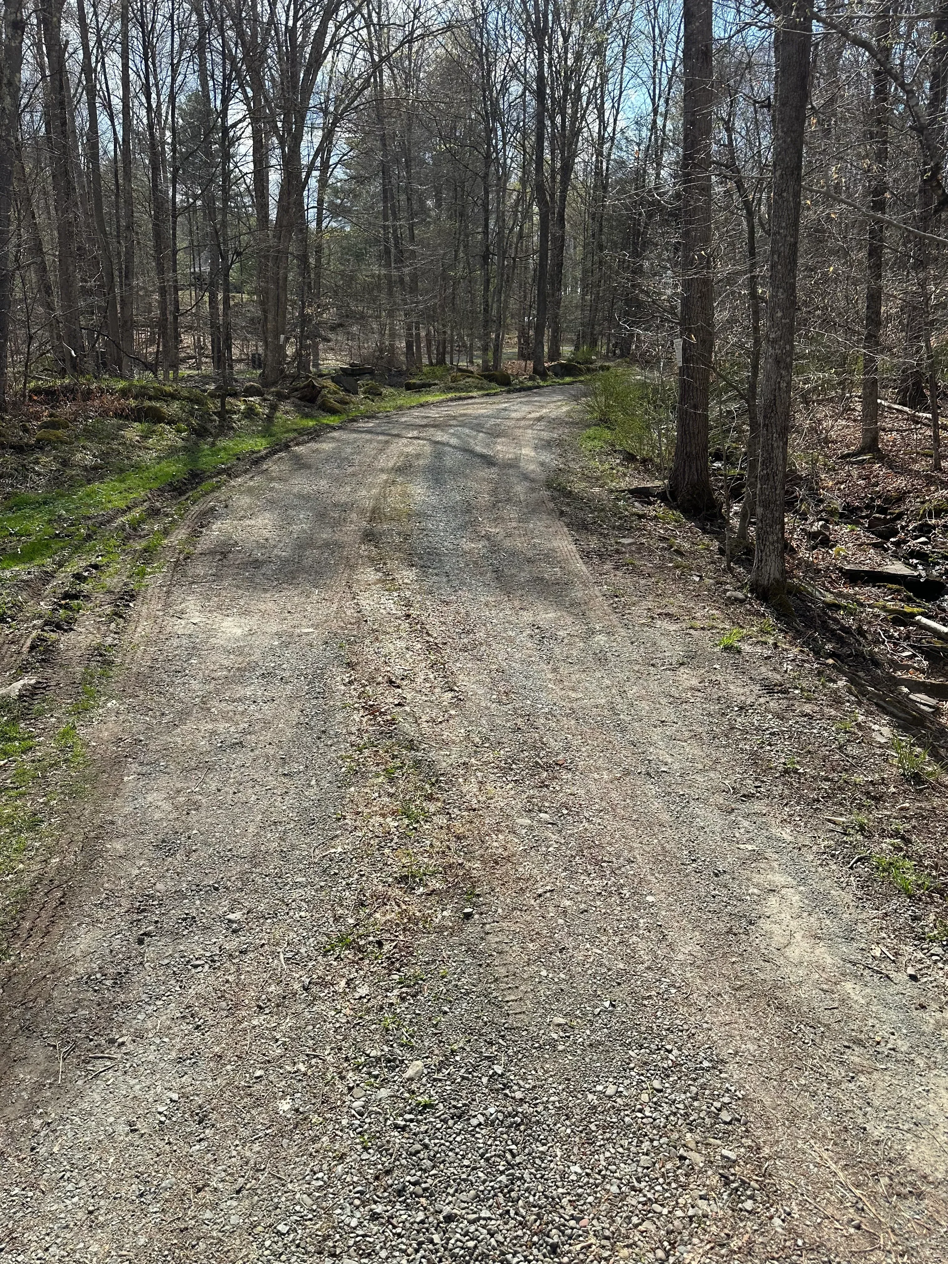 Cleared timber harvest site with exposed gravel, tree stumps, and remaining vegetation along forest edge