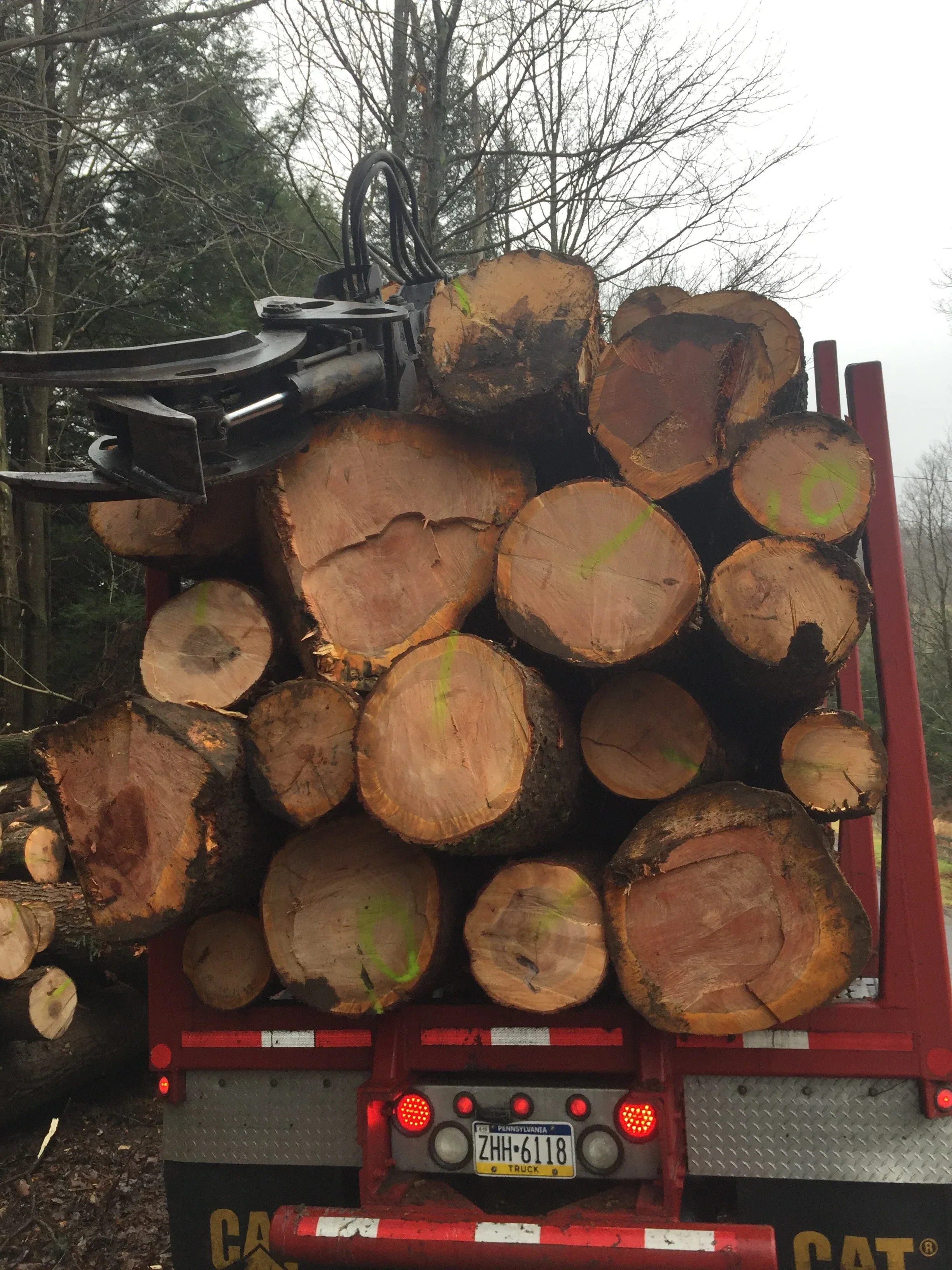 Red logging trailer loaded with stacked hardwood logs marked with green paint