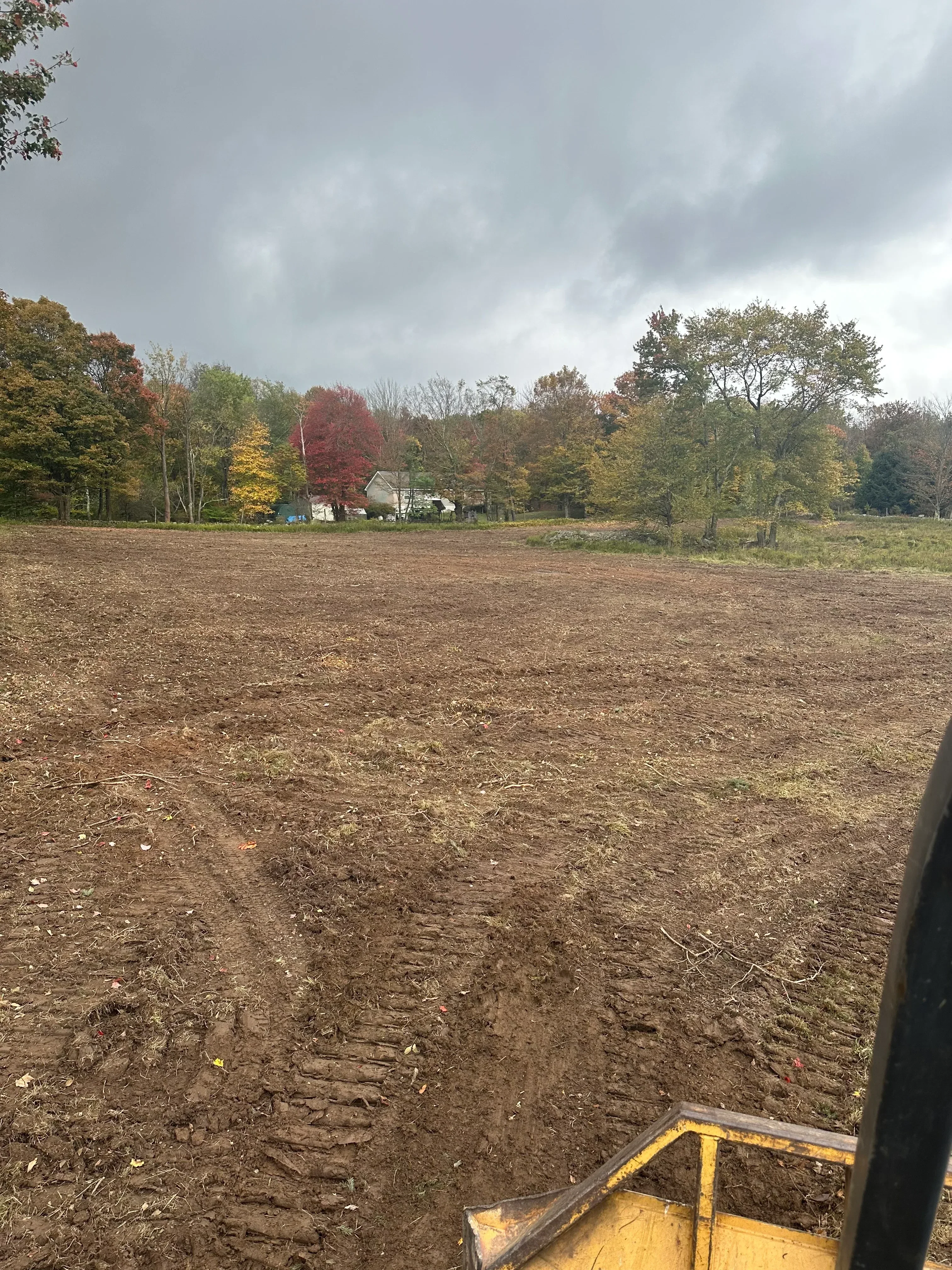 Cleared land with graded soil and yellow heavy equipment, mature trees retained at property edge
