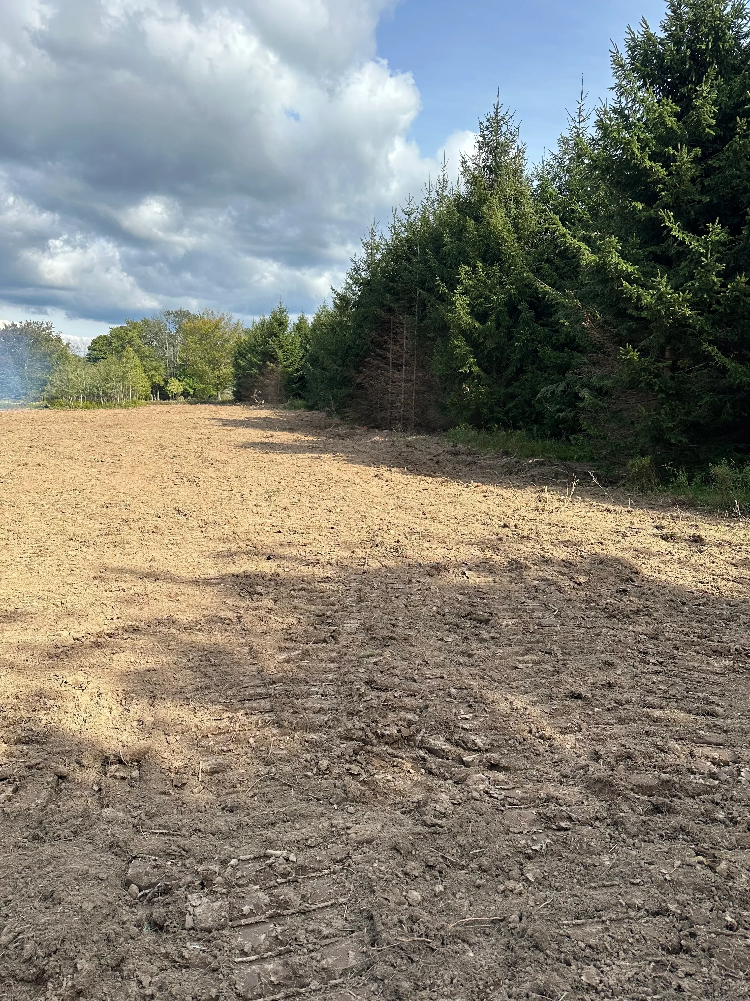 Cleared land with gravel base and tree line along property edge