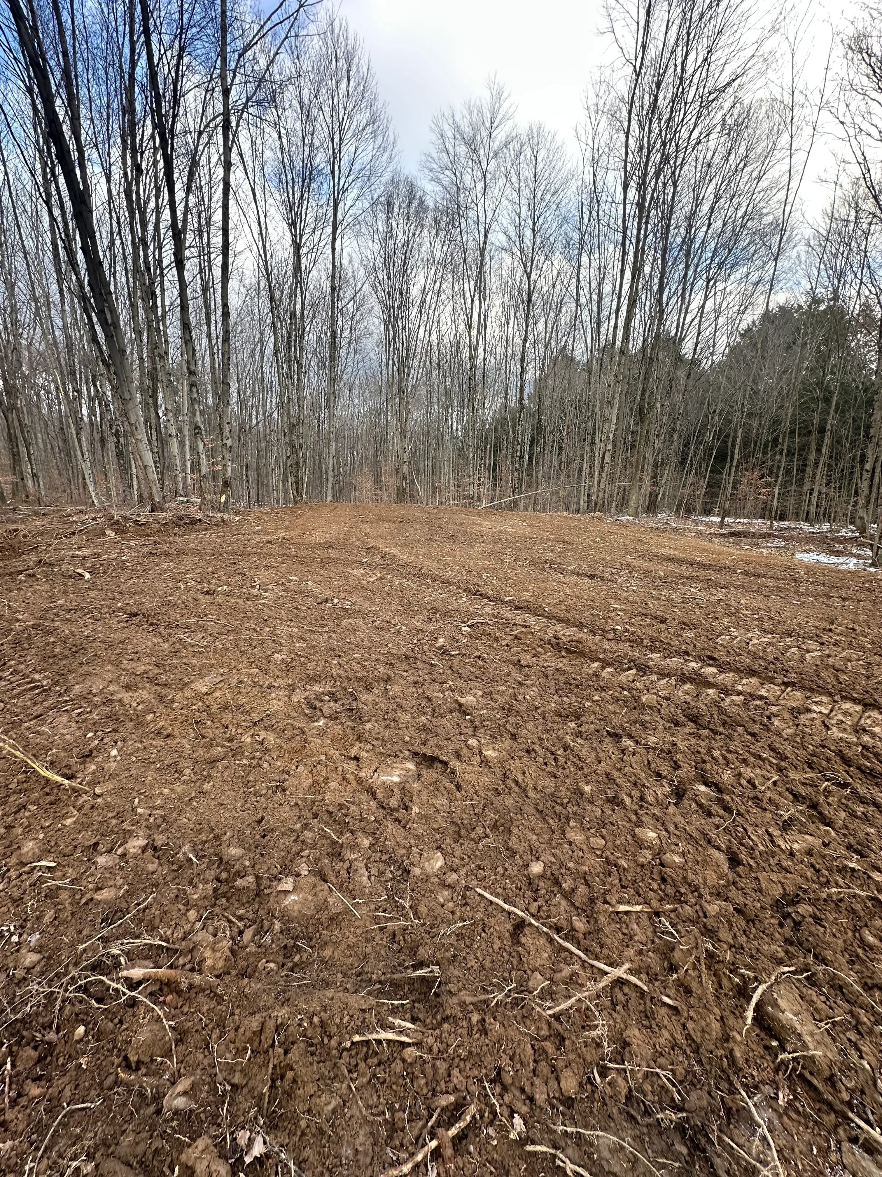 Cleared land with exposed soil and tree stumps, bare ground ready for development