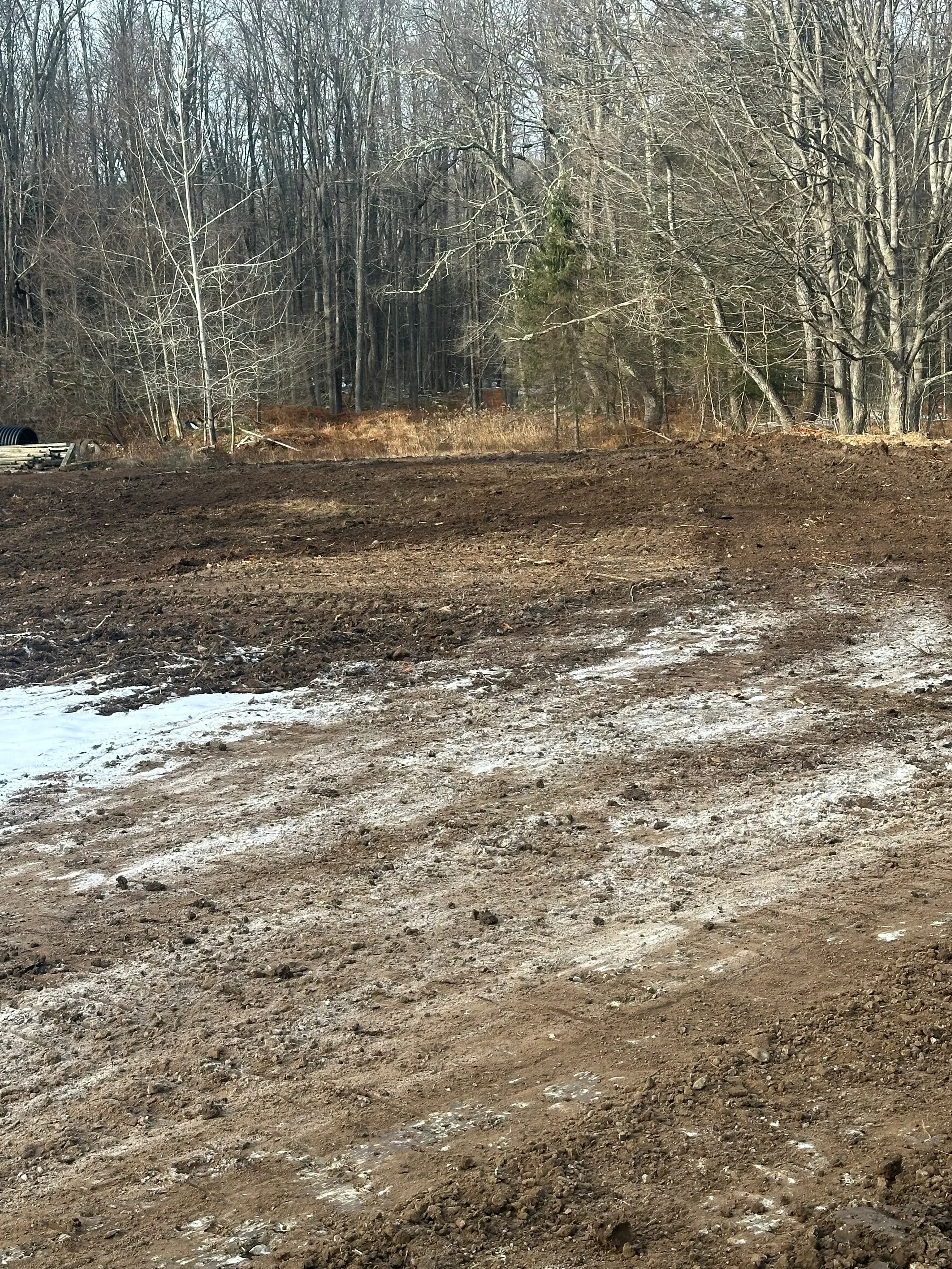 Cleared streamside with exposed earth bank and removed vegetation debris